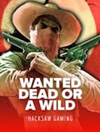 Wanted Dead or A Wild
